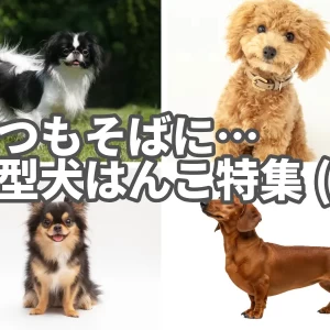 小型犬イラストはんこ特集（前編）