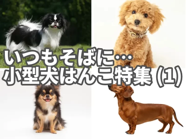 小型犬イラストはんこ特集（前編）