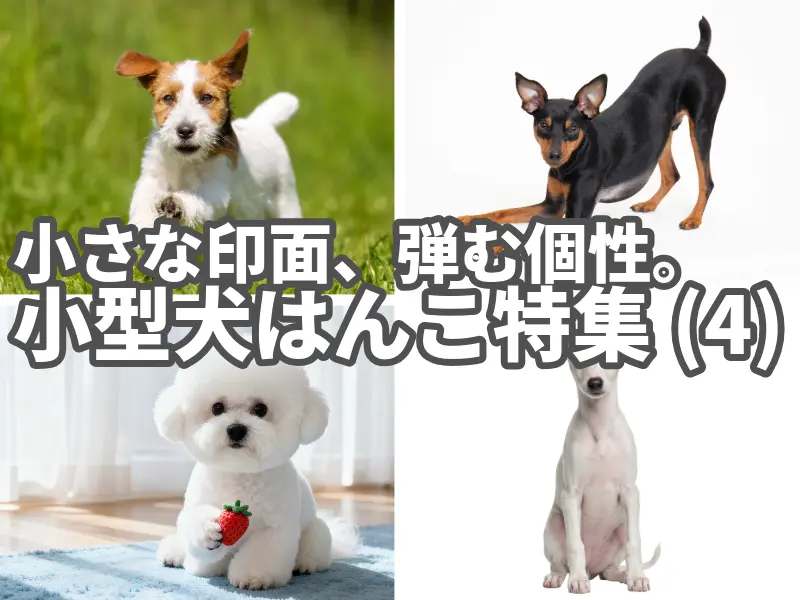 小さな印面、弾む個性・小型犬はんこ特集(4)